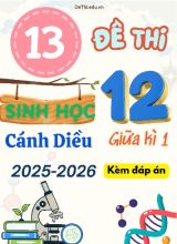 Tuyển tập 13 Đề thi giữa kì 1 năm học 2025-2026 môn Sinh học 12 Cánh Diều (Kèm đáp án)